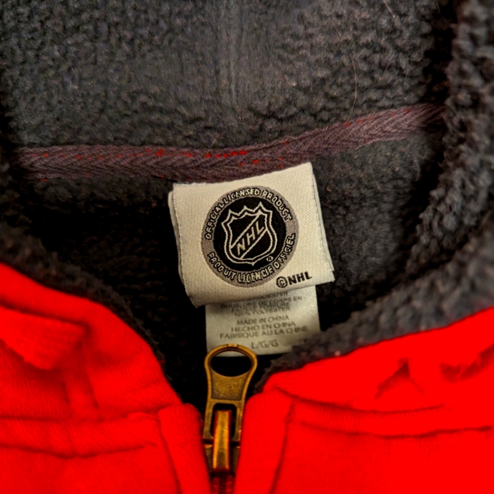 Redwings fleece lined hoodie